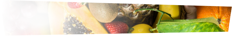 fruits