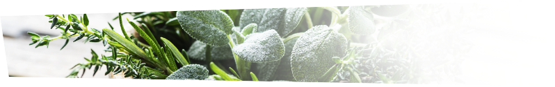 herbes aromatiques