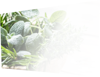 herbes aromatiques