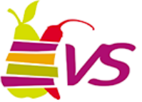 logo VS